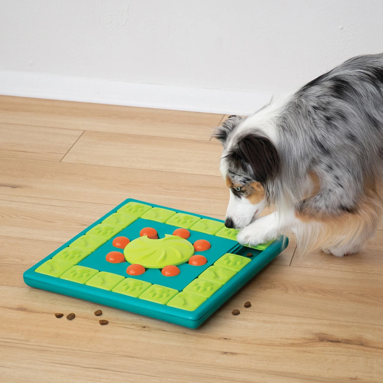 Nina Ottosson Multipuzzle Niveau 4 - udfordrende aktivitetslegetøj til hunde